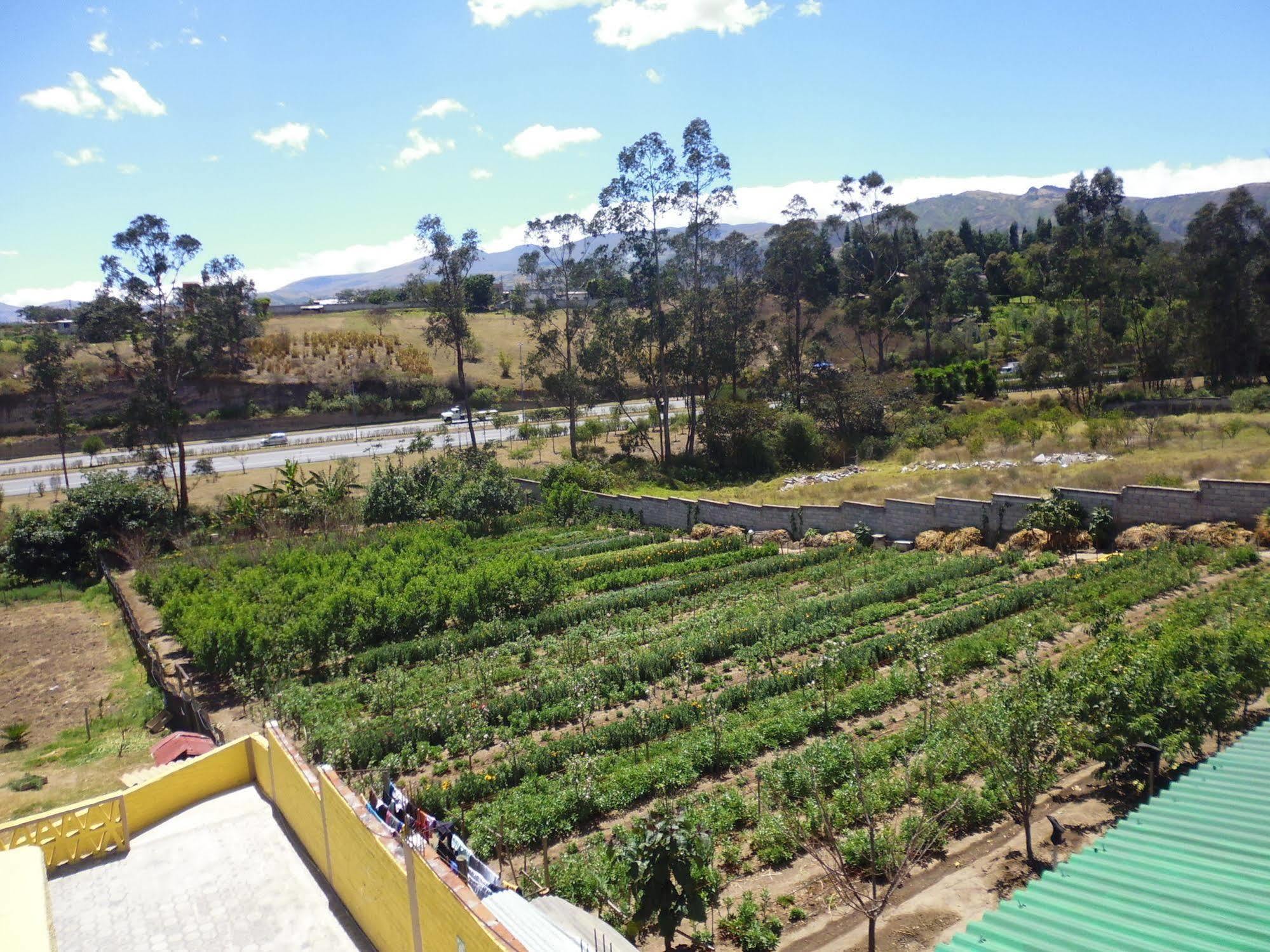 Hotel Residencial El Viajero Tababela Eksteriør bilde